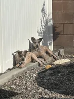 Facility photo