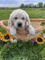 processed/57cf75d0-f212-4cb5-abfd-2b166e8e8490/facility/ef47b87e-695d-4a3b-bf5a-06ad9e0ddeb3