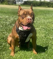 processed/57d864c0-09a7-4b13-a471-1c62daa2c352/facility/75606de2-e432-47ca-9541-82bbc7386e88