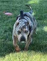 processed/57d864c0-09a7-4b13-a471-1c62daa2c352/facility/91904adf-12a3-48cf-b461-fdadc0421844