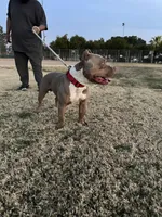 processed/57d864c0-09a7-4b13-a471-1c62daa2c352/facility/ec5b0512-3231-44a1-bfe1-1a5b491e8883