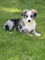 processed/57d8695c-4502-4666-b3d5-0d4f7b00d747/facility/616e641a-0824-4561-aca9-161f5dbace78