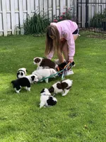 processed/57d8695c-4502-4666-b3d5-0d4f7b00d747/facility/6c515390-91d0-4afb-8a48-0b40dce254bc