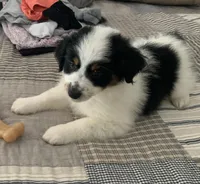 processed/57d8695c-4502-4666-b3d5-0d4f7b00d747/facility/b36b5686-a295-48b8-9bd8-466f1cea40a4