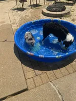 processed/57d8695c-4502-4666-b3d5-0d4f7b00d747/facility/cc8a38dd-d6d7-48e8-9115-139bad05d4a6