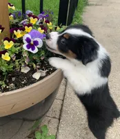 processed/57d8695c-4502-4666-b3d5-0d4f7b00d747/facility/d7379da0-2872-481c-9938-ca9ff23db406