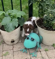 processed/57d8695c-4502-4666-b3d5-0d4f7b00d747/facility/df025e56-4a0d-4de6-87bc-f7b6aec36795