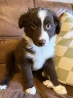 processed/57d8695c-4502-4666-b3d5-0d4f7b00d747/listing/ca29636b-cc5b-4fd5-8975-fe99f96565f8/2c8a141d-203b-4abd-9c22-f4e8b6afa107