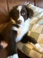 processed/57d8695c-4502-4666-b3d5-0d4f7b00d747/listing/ca29636b-cc5b-4fd5-8975-fe99f96565f8/5403e9c2-f44e-40d0-9419-ea809cf859a5