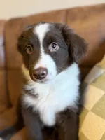 processed/57d8695c-4502-4666-b3d5-0d4f7b00d747/listing/ca29636b-cc5b-4fd5-8975-fe99f96565f8/876c95ac-5941-448d-bd30-476e2411cc15