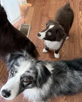 processed/57d8695c-4502-4666-b3d5-0d4f7b00d747/listing/ca29636b-cc5b-4fd5-8975-fe99f96565f8/8e76c8c0-f666-42c0-91de-c6a6b271f9ee