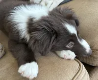 processed/57d8695c-4502-4666-b3d5-0d4f7b00d747/listing/ca29636b-cc5b-4fd5-8975-fe99f96565f8/8f815503-4a2b-4308-9ae6-9bc74b4afcfa