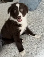 processed/57d8695c-4502-4666-b3d5-0d4f7b00d747/listing/ca29636b-cc5b-4fd5-8975-fe99f96565f8/a2e9a90d-0d36-4d33-81ae-6db5a2d76abd