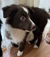 processed/57d8695c-4502-4666-b3d5-0d4f7b00d747/listing/ca29636b-cc5b-4fd5-8975-fe99f96565f8/c3ba52e4-33f7-410e-9d17-1feedf7385a4