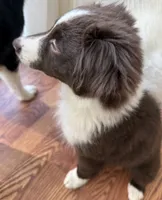 processed/57d8695c-4502-4666-b3d5-0d4f7b00d747/listing/ca29636b-cc5b-4fd5-8975-fe99f96565f8/d31dda4d-a7e8-4bec-954d-9a1849ab36c8