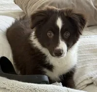 processed/57d8695c-4502-4666-b3d5-0d4f7b00d747/listing/ca29636b-cc5b-4fd5-8975-fe99f96565f8/faecd4ba-af21-4065-a038-f4ecfdc996b1