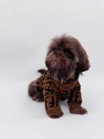 Shitzu , a male Shih Tzu for sale in South Gate, CA – Photo 2 of 3