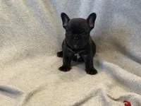 processed/57f2b544-9b96-4234-952b-d5c09315f06e/facility/4880cf80-5fda-49f6-a22f-0de1e7c38989