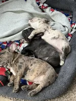 processed/57f2b544-9b96-4234-952b-d5c09315f06e/facility/6585641d-7e8e-4a2e-9f02-1bee5eb6d253