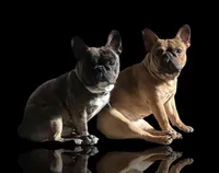 processed/57f2b544-9b96-4234-952b-d5c09315f06e/facility/74be500e-8b83-4c10-95d3-482c62dee390