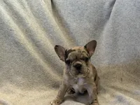 processed/57f2b544-9b96-4234-952b-d5c09315f06e/facility/b5bf2a8d-645a-4c20-b9ce-487b076d35f0