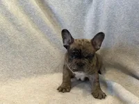 processed/57f2b544-9b96-4234-952b-d5c09315f06e/facility/fc89ef70-4be7-4078-bb32-3618a05c1dd3