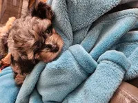 processed/57f59d33-4a73-4205-a40d-4a10742baf44/listing/94797543-23e1-44b4-840e-47b0f294efea/0fddd106-923d-4053-8f7f-0205988e2f93