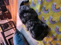 processed/57f59d33-4a73-4205-a40d-4a10742baf44/listing/94797543-23e1-44b4-840e-47b0f294efea/effc1a5e-39e6-4d44-804c-d0e792756b15