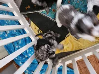 processed/57f59d33-4a73-4205-a40d-4a10742baf44/listing/94797543-23e1-44b4-840e-47b0f294efea/f1a4349e-ae4b-4aa9-844e-18468b8bed17