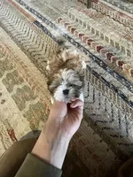 processed/57f5c7a8-541b-4fda-b2f3-8576cdcd0013/listing/2f28c19d-67ea-4157-9522-547e7e759557/666cc096-b8f6-43c8-b17f-d8767e009ffa