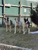 Facility photo
