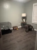 Onyx, a male American Pit Bull Terrier for sale in Warner Robins, GA – Photo 3 of 4