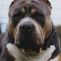 processed/580469f6-529c-4a87-b6f6-a994b69b8eb4/facility/99fff7be-98c0-413d-947d-e5382f5a918e