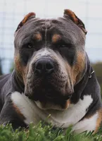 processed/580469f6-529c-4a87-b6f6-a994b69b8eb4/facility/99fff7be-98c0-413d-947d-e5382f5a918e