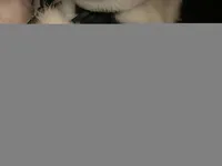 Bijou, a female Pomeranian for sale in Stockton, CA – 8 of 9