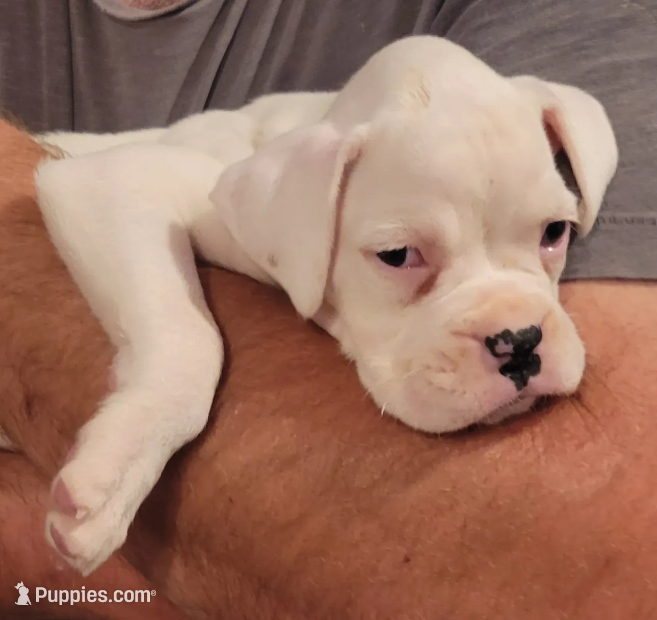 processed/580958a0-498f-4373-bb48-6d855c41af69/listing/00eedbc9-14b1-4ff0-a672-6ba29e2d2818/5aaf9b9e-21dc-4213-9b3c-30bbaffd0cbb