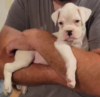 processed/580958a0-498f-4373-bb48-6d855c41af69/listing/00eedbc9-14b1-4ff0-a672-6ba29e2d2818/cf678cd0-d675-4cb6-b32b-7a75dfd646b9