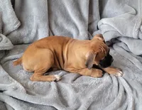 processed/580958a0-498f-4373-bb48-6d855c41af69/listing/bbf12beb-2456-4187-b1a3-5c5e4404792c/372221dd-7aa5-490e-a872-c829d17cc599