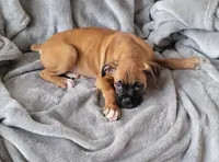 processed/580958a0-498f-4373-bb48-6d855c41af69/listing/bbf12beb-2456-4187-b1a3-5c5e4404792c/8e147aad-ecc0-416e-ae45-f7802cab5c95