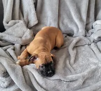 processed/580958a0-498f-4373-bb48-6d855c41af69/listing/bbf12beb-2456-4187-b1a3-5c5e4404792c/b05c6e4e-38a1-403a-822f-9c353f18279c