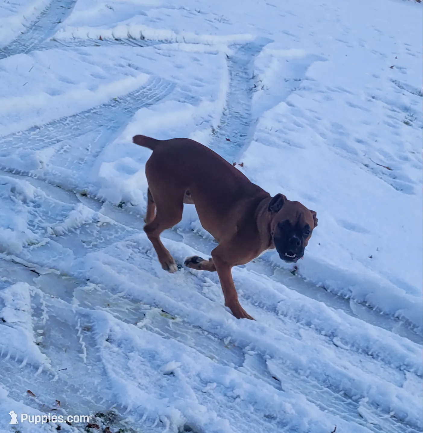 processed/580958a0-498f-4373-bb48-6d855c41af69/listing/f8e5e9aa-0c1f-4517-8ae3-0c1f08ca3d9b/76c28696-76c5-43a2-b026-ff42c262d7aa