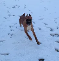 processed/580958a0-498f-4373-bb48-6d855c41af69/listing/f8e5e9aa-0c1f-4517-8ae3-0c1f08ca3d9b/de59e4bb-271c-45c2-9b00-428331160489