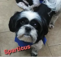 processed/580e8978-3e82-42d5-92b8-304c38f40faa/facility/26ac8a39-1575-40a7-bbc9-750cc40b0749