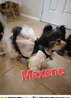 processed/580e8978-3e82-42d5-92b8-304c38f40faa/facility/665033b4-e4f8-4b48-be35-d5abb8e97861