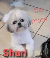 processed/580e8978-3e82-42d5-92b8-304c38f40faa/facility/895bd31d-a6fa-4960-9084-334053fd9fc8