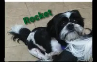 processed/580e8978-3e82-42d5-92b8-304c38f40faa/facility/937a4d6c-51e6-4e8d-8579-a88f4895d6b3