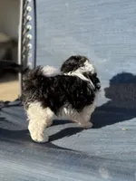 processed/581c150f-65ff-426a-9652-a14bd1f228e6/listing/c6170025-4e92-4243-9784-058e1866f40a/0473da0f-667c-47cc-ad24-b7889dd3ce6a