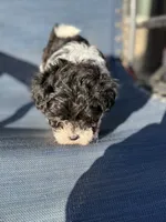 processed/581c150f-65ff-426a-9652-a14bd1f228e6/listing/c6170025-4e92-4243-9784-058e1866f40a/335b2cb8-64f3-4efe-9fee-e28b10bd64c8