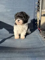 processed/581c150f-65ff-426a-9652-a14bd1f228e6/listing/c6170025-4e92-4243-9784-058e1866f40a/37d4f5d5-3809-4ff7-bb6b-4c3545008f33