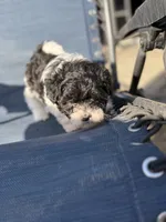 processed/581c150f-65ff-426a-9652-a14bd1f228e6/listing/c6170025-4e92-4243-9784-058e1866f40a/51ae1df4-8820-4736-8fda-1ded498b4a7b